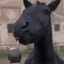 Կպչուն պիտակ