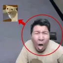 Samolepka