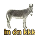 Samolepka