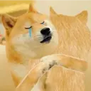 ملصق