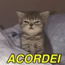 ملصق