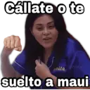 Stika