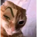 اسٹیکر