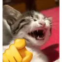 اسٹیکر