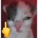 اسٹیکر
