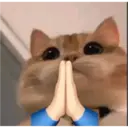 اسٹیکر