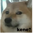 Naklejka