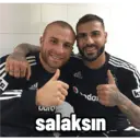 Стикер