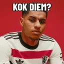 Çıkartma