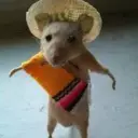 ملصق