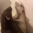 ملصق