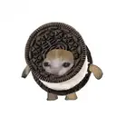 สติกเกอร์