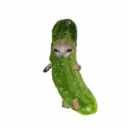 สติกเกอร์