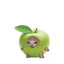 สติกเกอร์