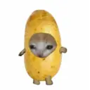 สติกเกอร์