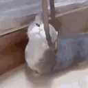 స్టికర్