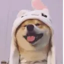 Stika