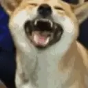 Stika