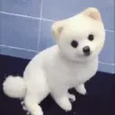 Stika