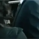 Çıkartma
