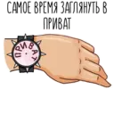 Stiker