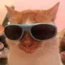 ਸਟਿਕਰ