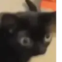 Límmiði