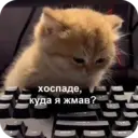 Стикер