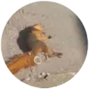 Çıkartma