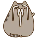 Adhesiu