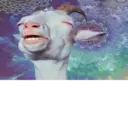 สติกเกอร์