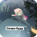Налепница