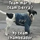 Figurinha
