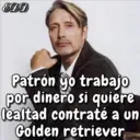 ملصق