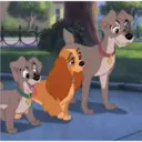 מדבקה