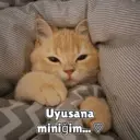 Samolepka