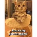 Samolepka