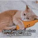 Samolepka