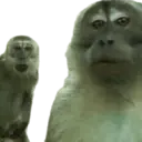 Çıkartma