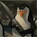 Stika