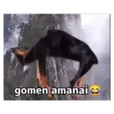 Çıkartma
