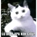 स्टिकर