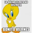 Stika