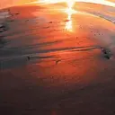 ملصق