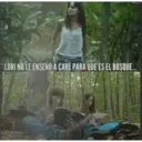 Samolepka