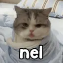 ステッカー
