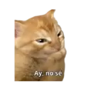 Ngjitës