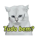 Ngjitës