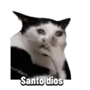 Ngjitës