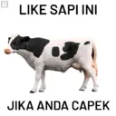 Pelekat